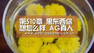 第510章 黑东西你想怎么样_AG真人平台(图1) AG真人