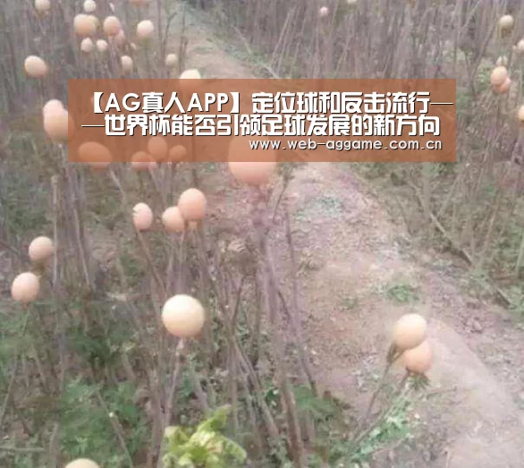 AG真人APP
